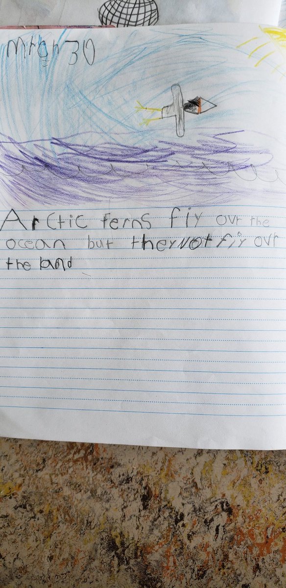 Mr. MacDonnell's Grade 1/2 tweet media