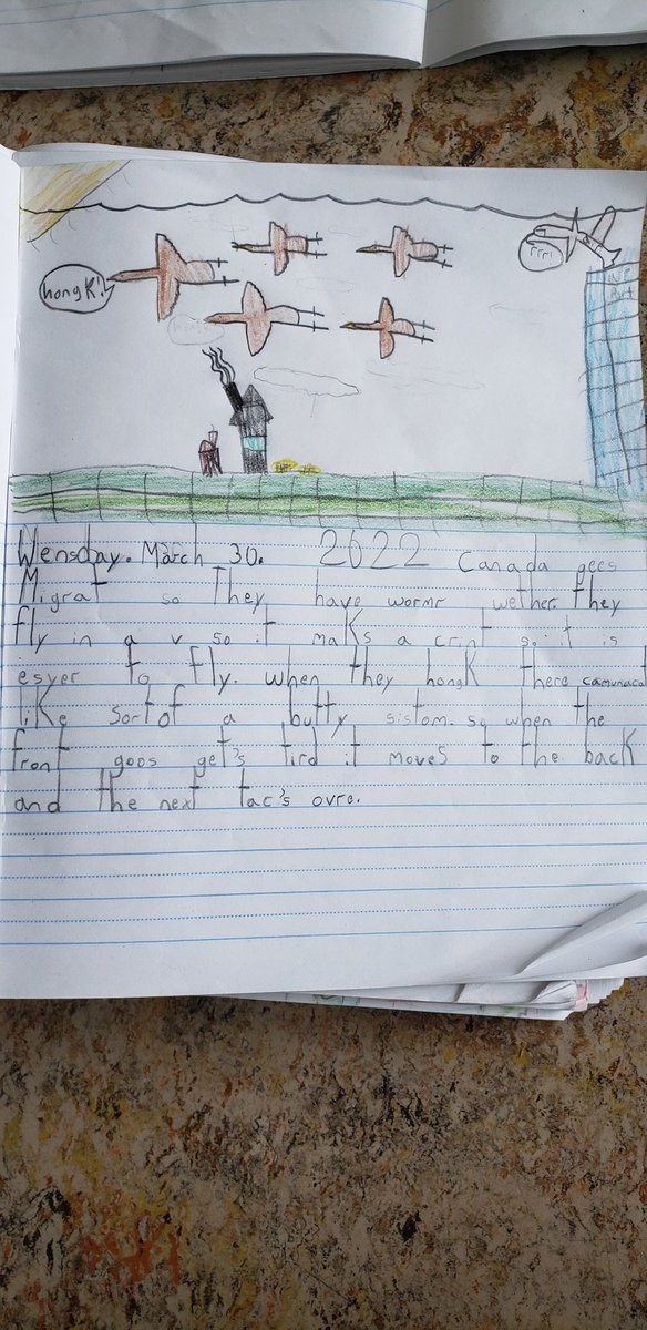 We've been learning about #AnimalMigration this week! Today we wrote some amazing sentences using because/and/but/so to add more detail. #ScienceWriting #literacy @glendale_labrec <a href="/glendale_kas/">Glendale Kindergarten</a> <a href="/glendalecbe/">Glendale School</a>
