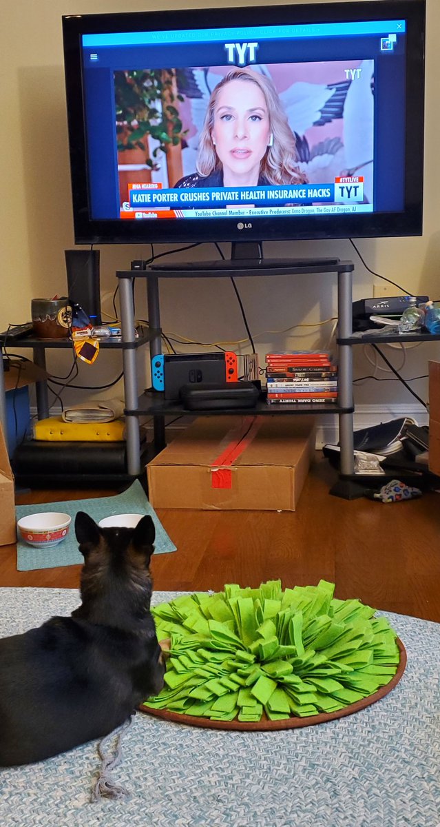 namrettik's tweet photo. @TYT @AnaKasparian you've got a captive audience tonight 🥰 https://t.co/RBWUGLeFaD