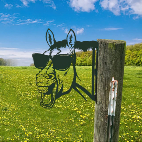 SandRshop21's tweet image. Have horses on your property? This makes a fun &amp;amp; different eyecatcher! The horse has several different friends so see them all on our website! #postsign #animalyardsign #mailboxpostsign #coolhorsesign
sunshineandrainfall.com/products/farm-…