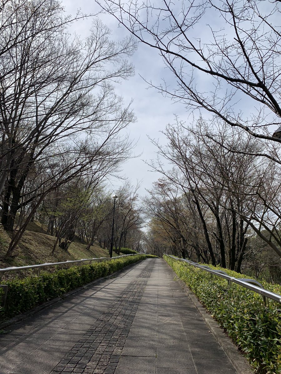 SuzukiDt's tweet photo. 🚶♀️ #Ojima #Komatsugawa Koen park.
☀️ #大島小松川公園 . https://t.co/qxRqEO0Avk