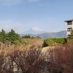 ツイートに含まれる画像