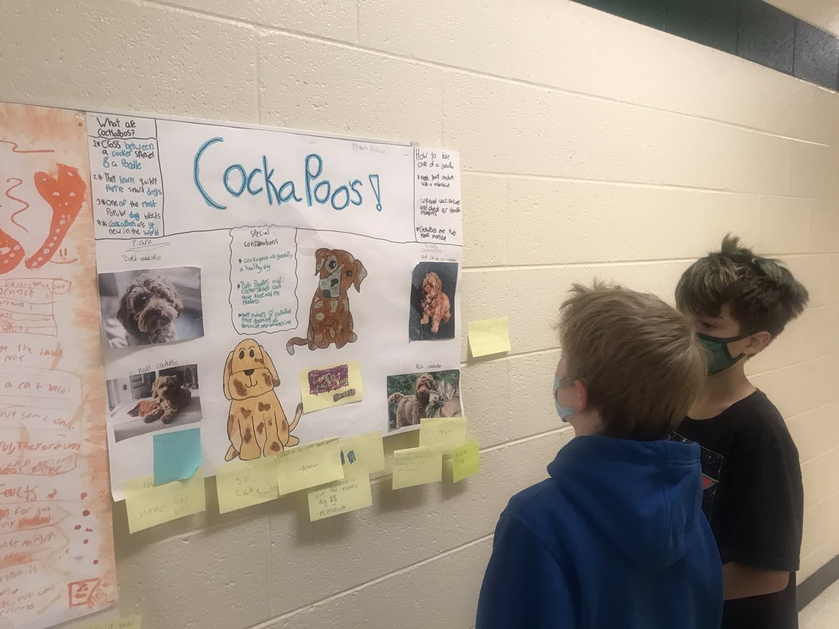 Miki Citron tweet media