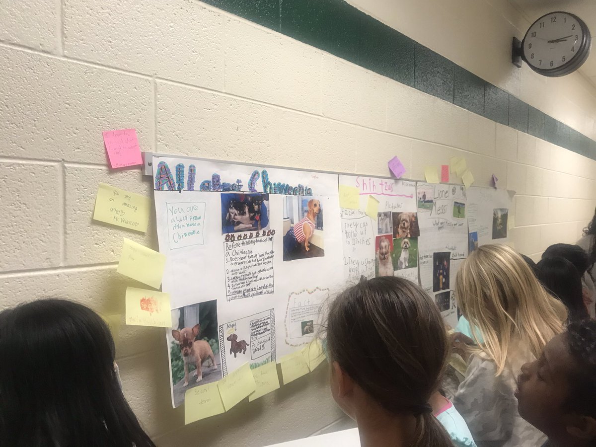 Miki Citron tweet media