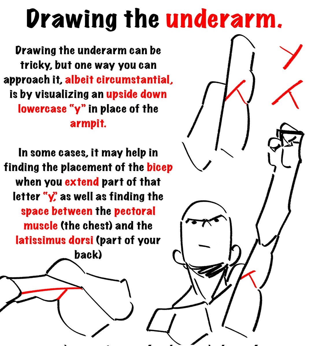 UDekure's tweet photo. Debated sharing this because I didn't think it was very clear to explain in written form as opposed to say a video demonstrating it, but maybe someone will find it at all useful!

Notes for drawing arms! https://t.co/cfpNpjm8DR