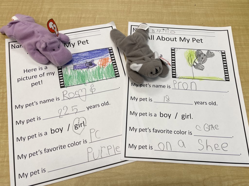 Lauren Roeder tweet media