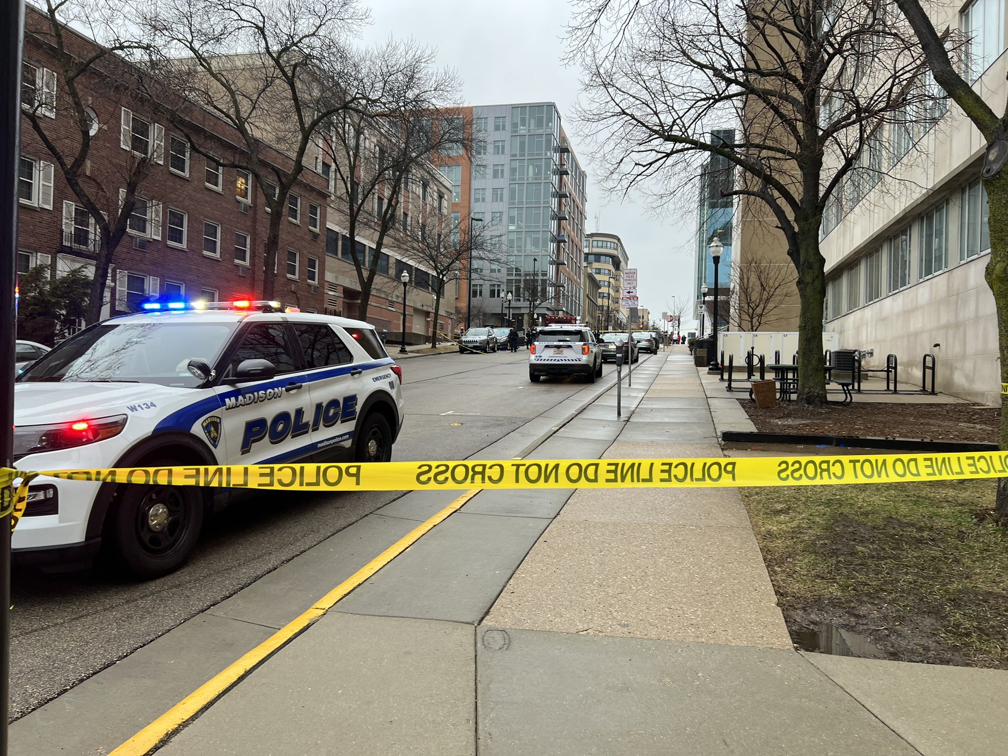 Madison Cochrane'S Custody Fight: What Really Happened? - fegva4s