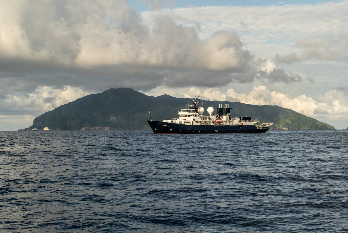 SchmidtOcean's tweet photo. Looking back at #DeepDiveCuts from 2019's incredible #CostaRicaDeep expedition. We'll be speaking with science team members in ONE HOUR, including @CordesLab and @LlevinAnn, about what they've learned since arriving #BackAshore. Join us on YouTube: https://t.co/y1RU2lzKb7 https://t.co/mxQoRD2Ga3
