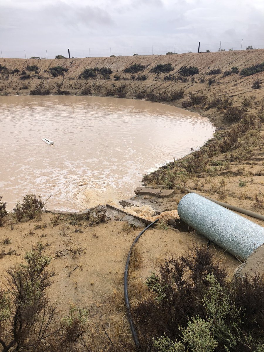 mcfarlane_neil's tweet photo. 70mm this week and finally seeing the dams fill for the first time in five years. https://t.co/8Zqr2x9Hyd