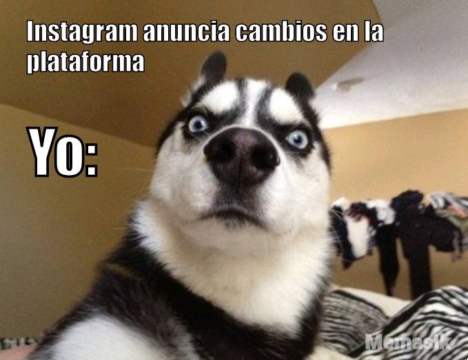 ndsandreadis's tweet photo. Cualquier parecido con la realidad es pura coincidencia

#vidadecommunitymanager
#cm
#INSTA 
#instagram
#cambios https://t.co/FJOtjbNgDH