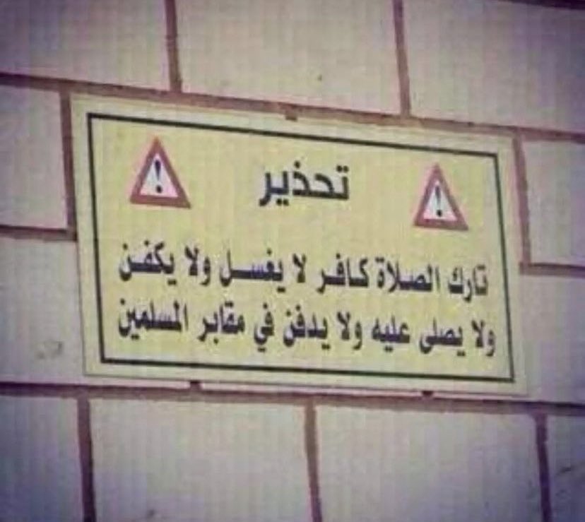 يزيد tweet media