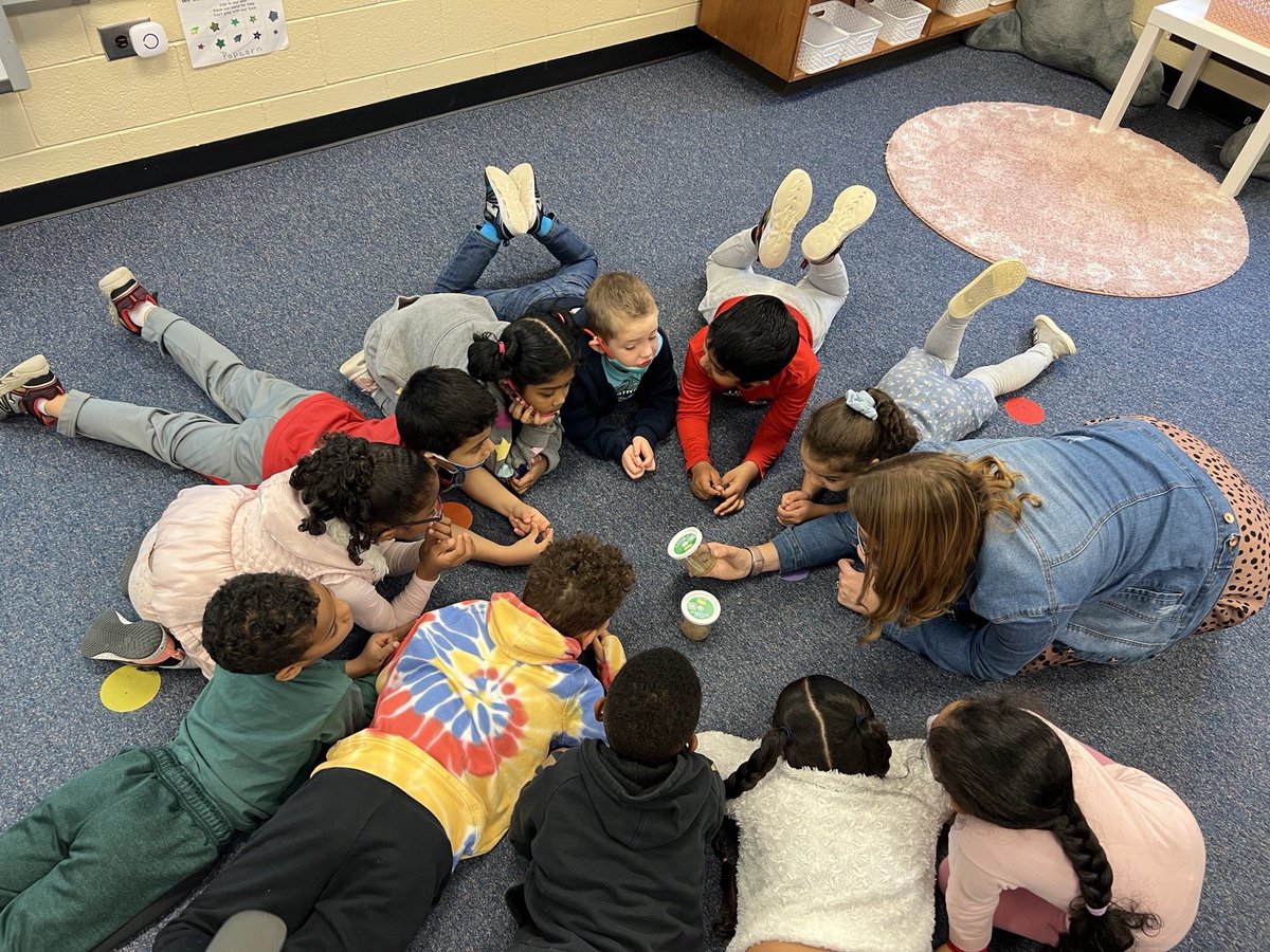msbinelementary's tweet photo. This is why I love what I do. The look on their faces— so inquisitive and thoughtful. We got our caterpillars today and are so excited to watch them turn into butterflies 🦋 https://t.co/JmUTzDZRPn