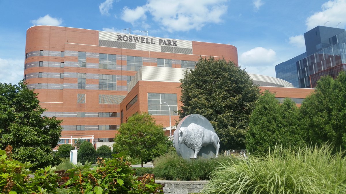 Ioannis Sanidas (@gsanid) on Twitter photo I am excited to announce that I joined the fantastic faculty at <a href="/RoswellPark/">Roswell Park</a> to start my new lab. If you are interested in working on cell cycle and genome organization using state-of-the-art technology, please contact me. I am excited to announce that I joined the fantastic faculty at <a href="/RoswellPark/">Roswell Park</a> to start my new lab. If you are interested in working on cell cycle and genome organization using state-of-the-art technology, please contact me.