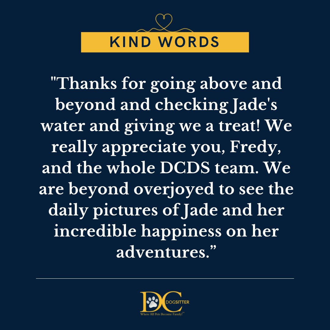 DC Dog Sitter tweet media
