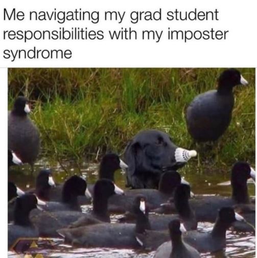 MITGradStudents's tweet photo. You belong here!!
#impostersyndrome #gradmeme #gradhumor #phmeme #phdhumor
credit: @Grant_Munnae https://t.co/qKDnG2qr9Q