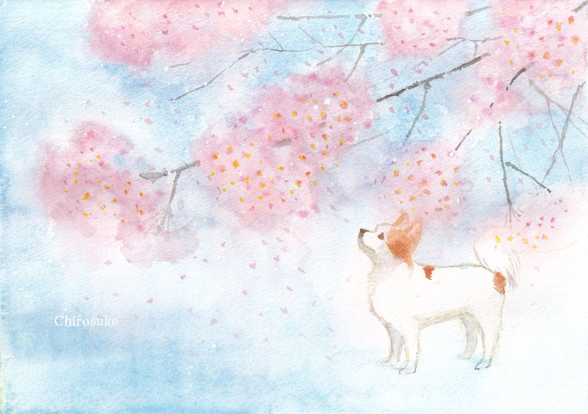 no humans cherry blossoms painting (medium) watercolor (medium) traditional media dog animal focus  illustration images
