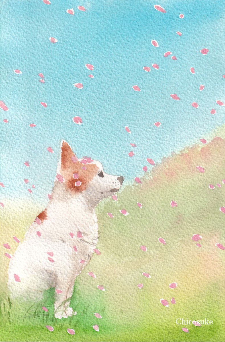 no humans cherry blossoms painting (medium) watercolor (medium) traditional media dog animal focus  illustration images