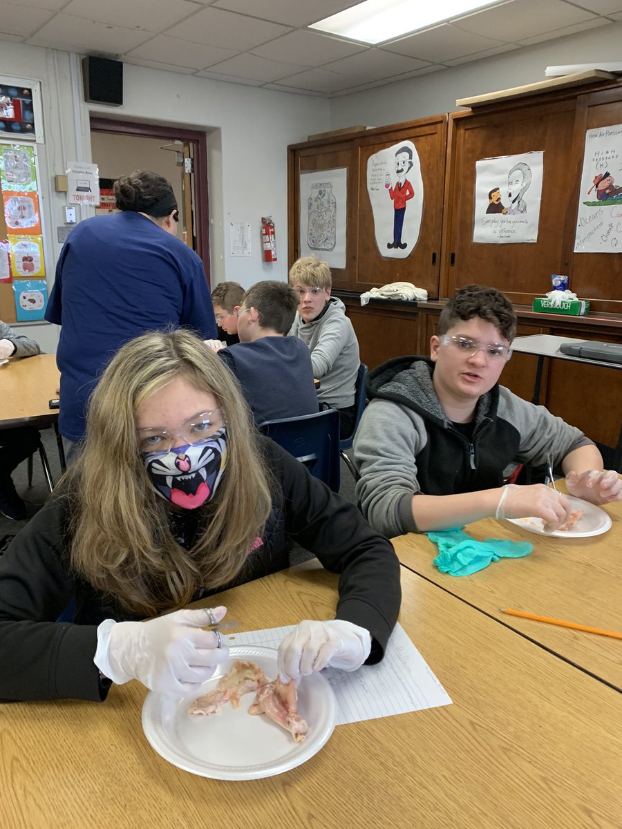 Wonderful day doing the chicken wing dissection. My students connected information way beyond my expectations! <a href="/ECMSAstros/">East Clinton Middle School</a>  @MattMelnek <a href="/ECLocal/">East Clinton Schools</a>