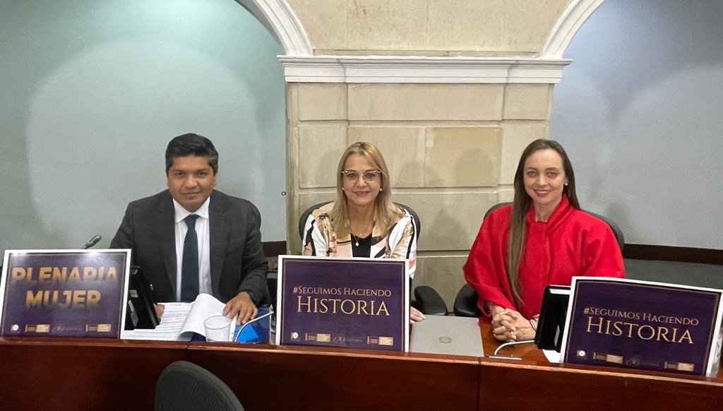 AnaPaolaAgudelo's tweet photo. Bancada @PartidoMIRA en #DiaM desde @SenadoGovCo y @CamaraColombia debatiendo proyectos en favor de las mujeres colombianas, en reconocimiento a su rol esencial en la sociedad. @ComisionMujerCo https://t.co/CPZB0CyrnP