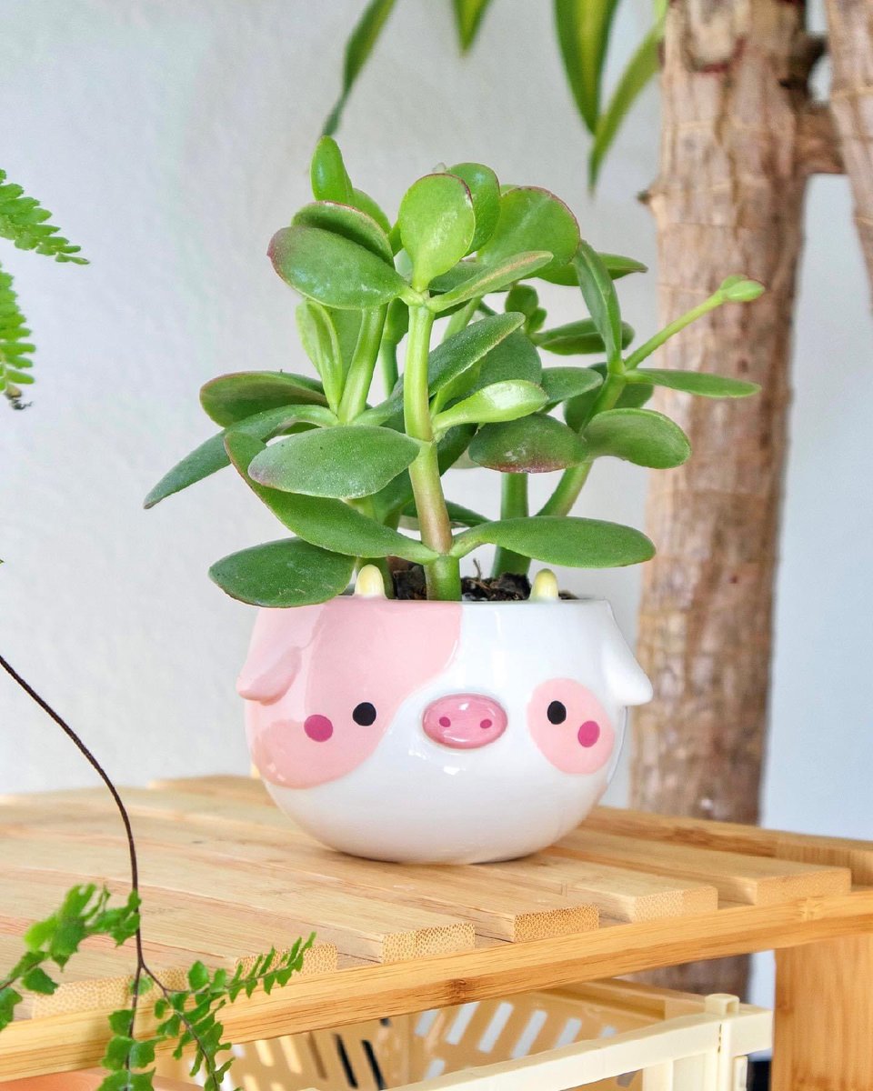 STRAWBERRY COW PLANTER!! 🍓🐮🌱