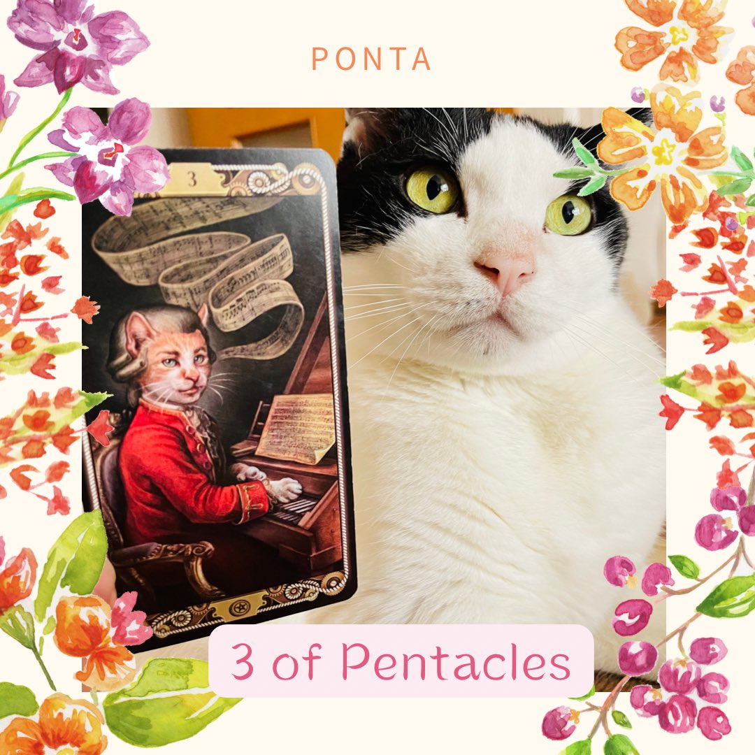 oraclerinko's tweet image. 評価される日。これまで地道に取り組んできたことが周囲から認められそう✨また自分では普通だと思っていたことが、『え！そんなことできるの？すごいね！』とたちまちスポットライトを浴びることになりそう💡あなたの実力に自信を持って😘 #3ofPENTACLES #早くしてﾆｬ #デイリータロット #CATTAROT