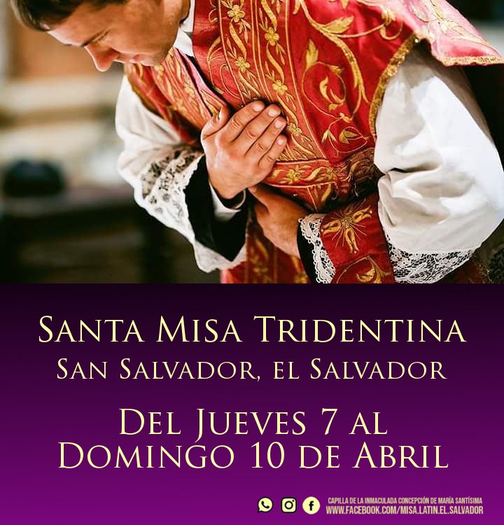 FSSPX SV tweet media