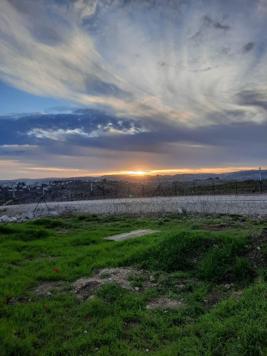khazawah's tweet photo. โTo the left you will see the wall, but to the right you will see the very people who fought to keep Beit Sira standing since 1948.โ -Women of Beit Sira #landday freepalestine #untilliberation https://t.co/BOGeTZg4cx