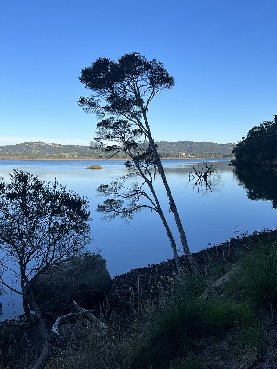 JudithClarke54's tweet photo. Morning run along the riverwalk Latrobe Tasmania. Beautiful morning for a lovely run. Now for some visits to old haunts #enjoyyourrun #beautifulday #keepsafe https://t.co/UZA95JHQ5v