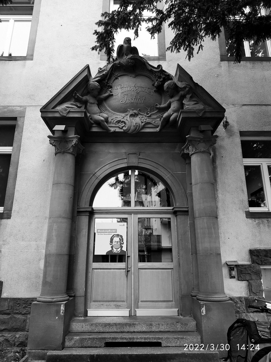 vonostend68's tweet photo. frankfurt/universitätsklinikum. https://t.co/e6XFWzFpi1