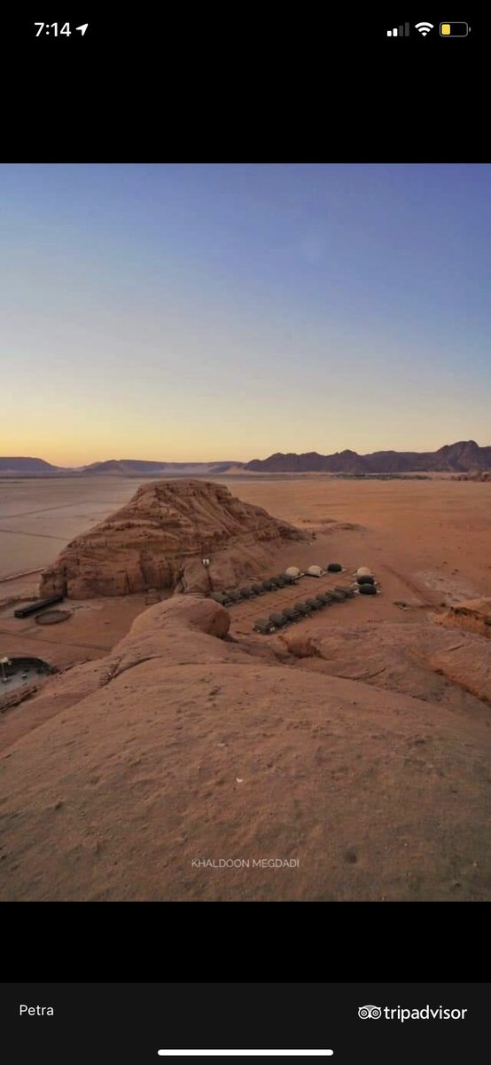 modrips's tweet image. 