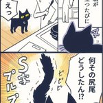 尻尾をS字にし震わせる愛猫･･･!その不思議な仕草について調べてみると、可愛すぎる意味があった!