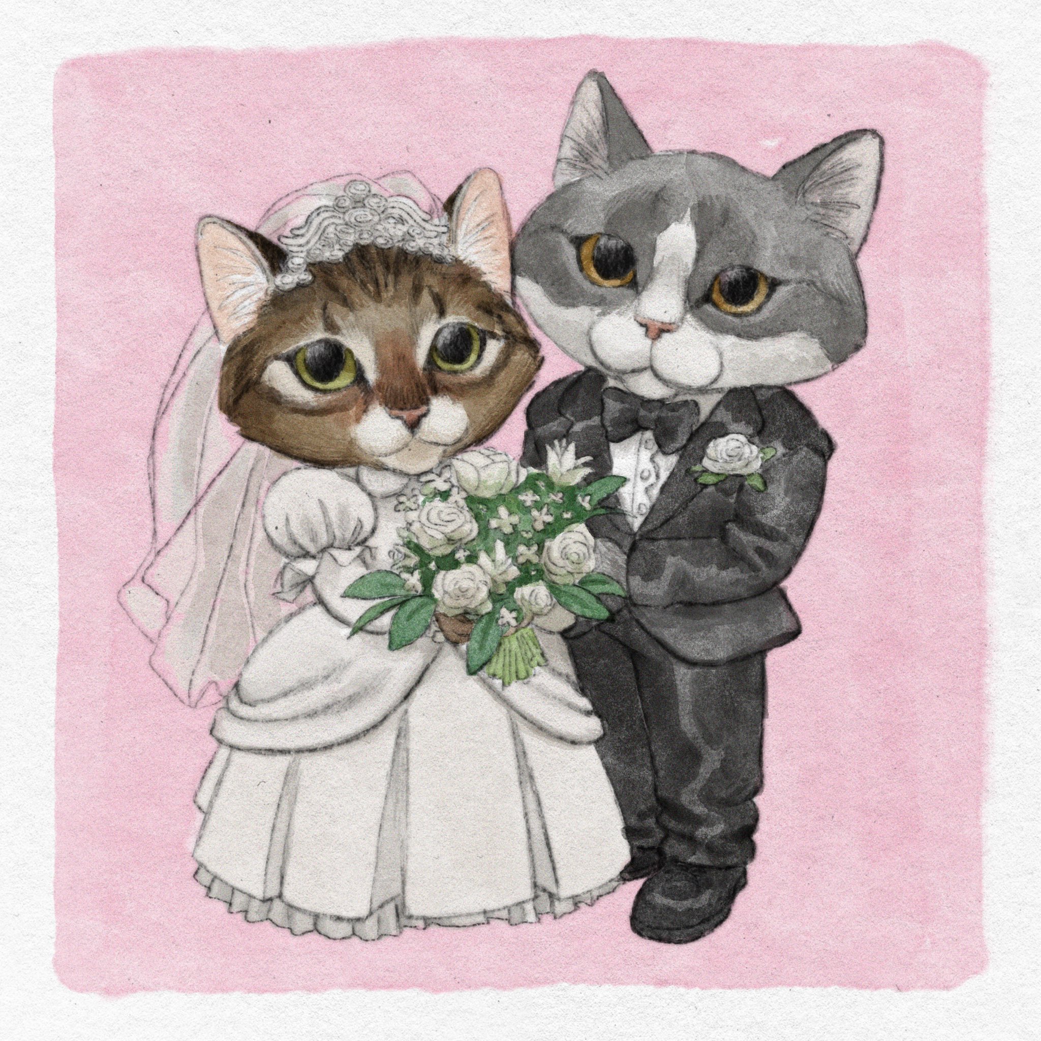 ✨Kelly Pringle✨ on X: "My sister got married this past weekend so here's  two cats on their wedding day ❤️💍💒 https://t.co/0WSlPUAj8l" / X