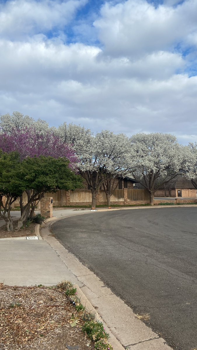 Erica Goss Irlbeck tweet media