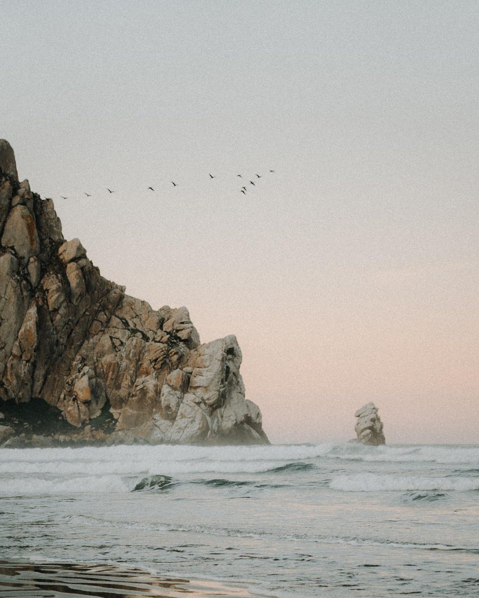 morrobaytravel's tweet photo. "Birds flying high, you know how I feel. Sun in the sky, you know how I feel."

How are you feeling Morro Bay? 
🌅🌊🪨🦅 

📸: PhilNgyn on Instagram

#Beach #SurfLife #MorroBaycation #VisitSLO #VisitCA #VisitCalifornia #MorroBay #MorroRock #SurfMorroBay #SLOCAL https://t.co/JMmae1YHCz