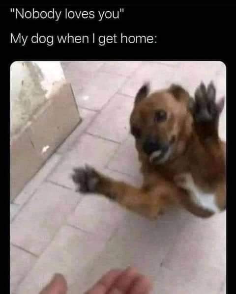 WholesomeMeme's tweet photo. https://t.co/Y7r03n5vWr