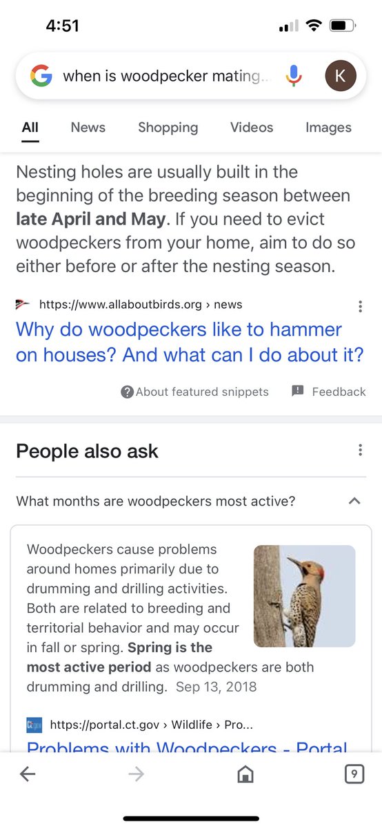 KEBSeasYou's tweet photo. If my roof could google… https://t.co/T3Z9EfYWnE