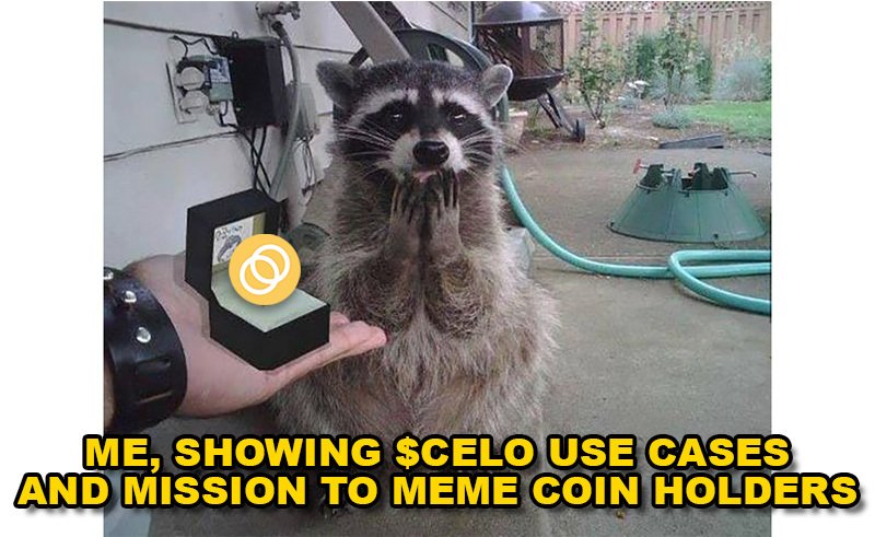 Celo God tweet media