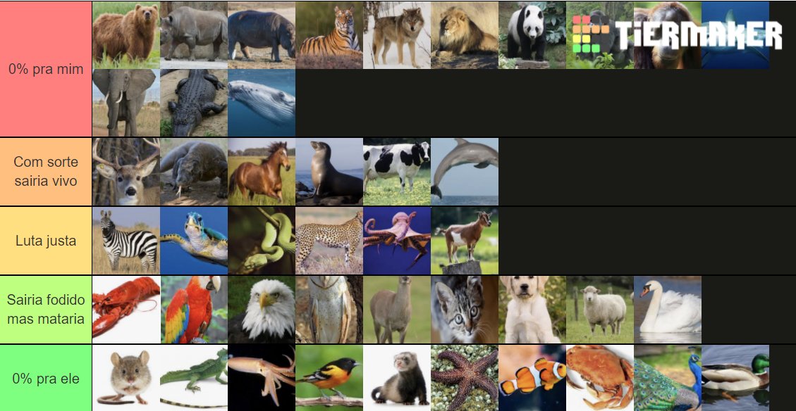 Caue Boneto tweet media