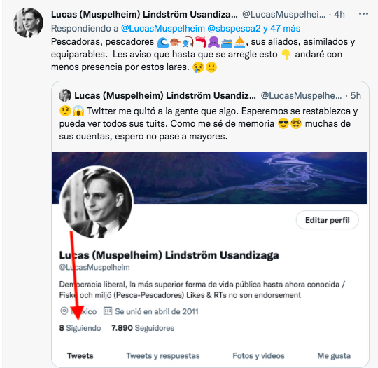 Ya de vuelta 👇aunque con shadowban. ¡Gracias por las gestiones para restablecer la cuenta, ustedes saben quienes son palomilla! A los que me denunciaron ¿cómo por qué?