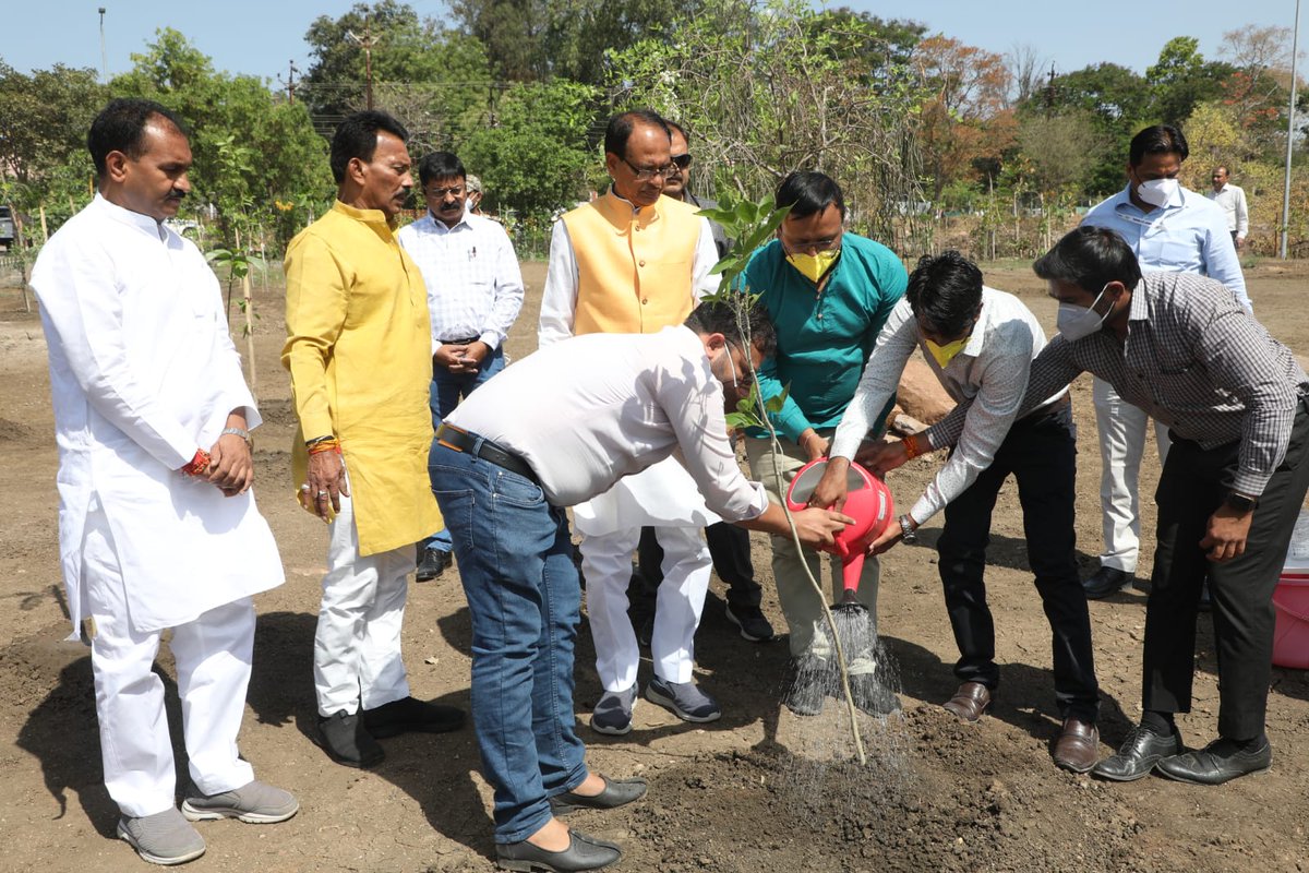 भोपाल के स्मार्ट पार्क में कैबिनेट साथी श्री <a href="/tulsi_silawat/">Tulsi Ram Silawat</a> जी, विधायक साथी श्री <a href="/ShishupalBJP/">Dr. Shishupal Yadav</a> तथा ग्राम प्रभात संस्था के प्रतिनिधियों के साथ गुलमोहर और करंज का पौधा लगाया। 

ये पेड़-पौधे ही हमारी धरा और जीवन को समृद्ध बनाते हैं। सबसे आग्रह है कि पौधे अवश्य लगाइये। #OnePlantADay