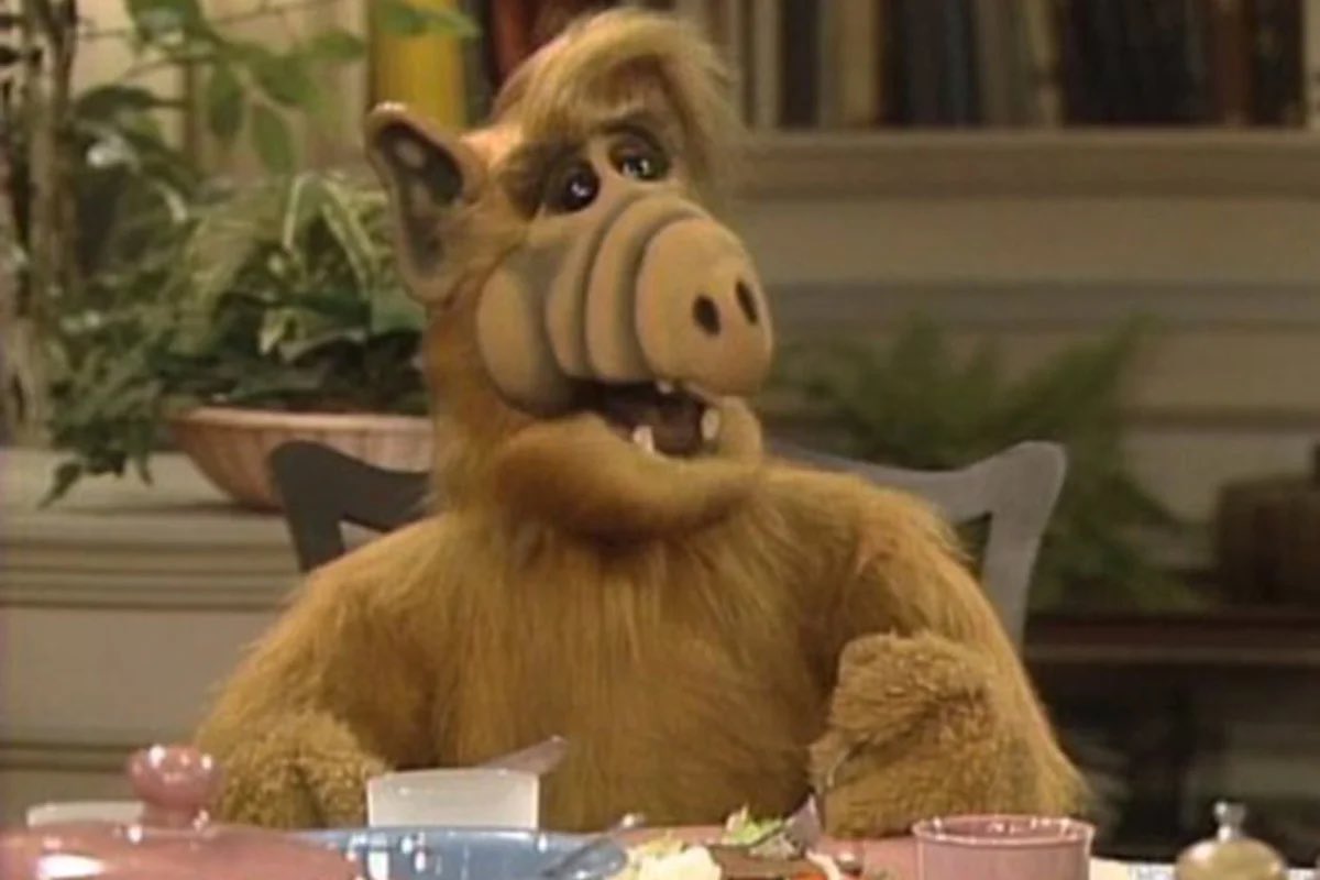 Alf was on primetime television for 4 seasons. 