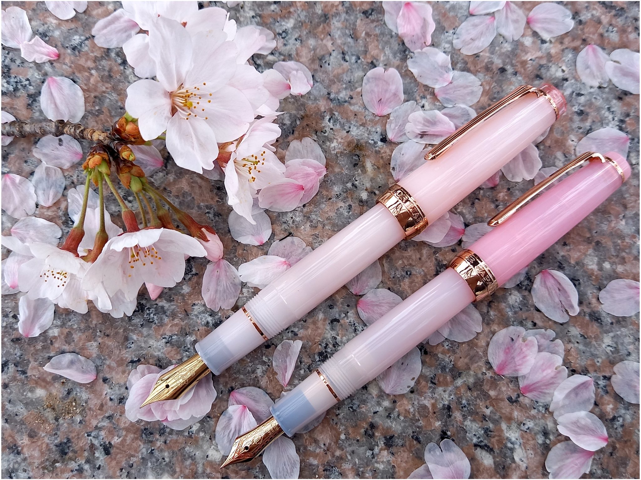 久保桜ブルームピンク・万年筆 極細字EF | housecleaningmadison.com