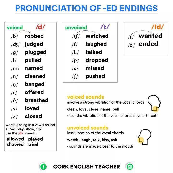 ririjameson's tweet photo. The sounds of the suffix -ed in regular verbs https://t.co/uIJGW39len