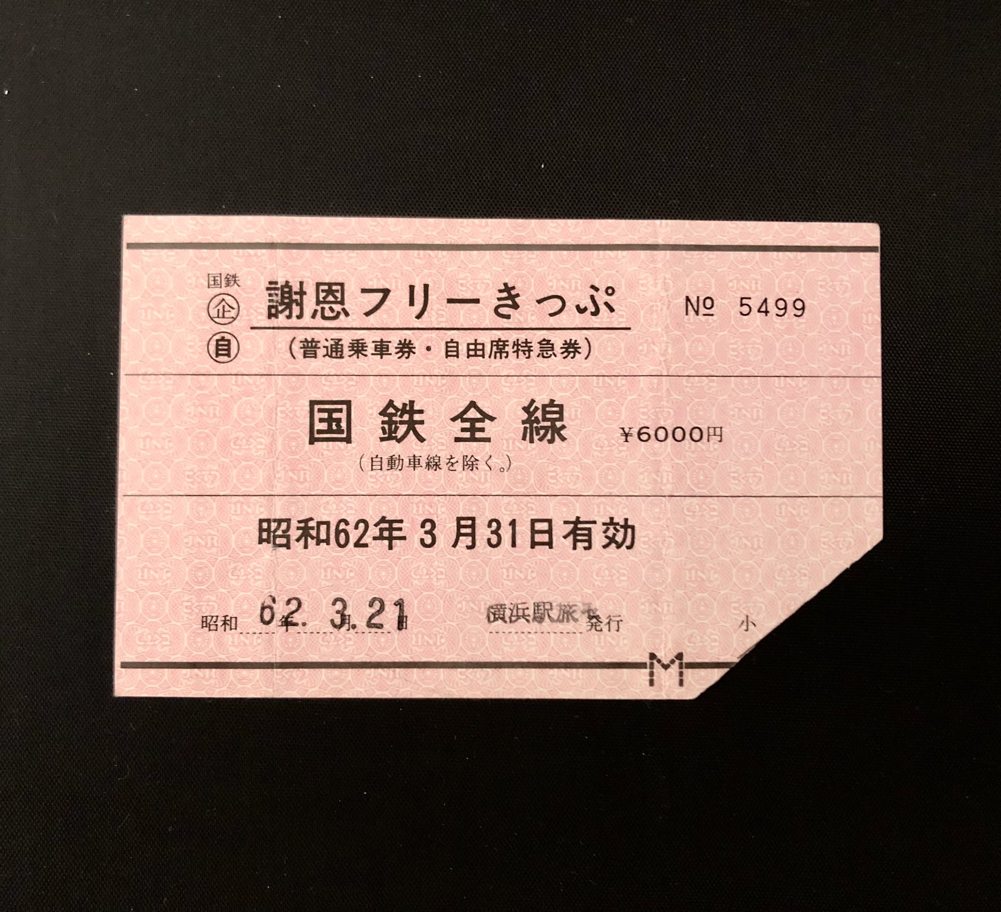 69％以上節約 国鉄最終日 謝恩フリーきっぷ 限定販売品 焼けへたり