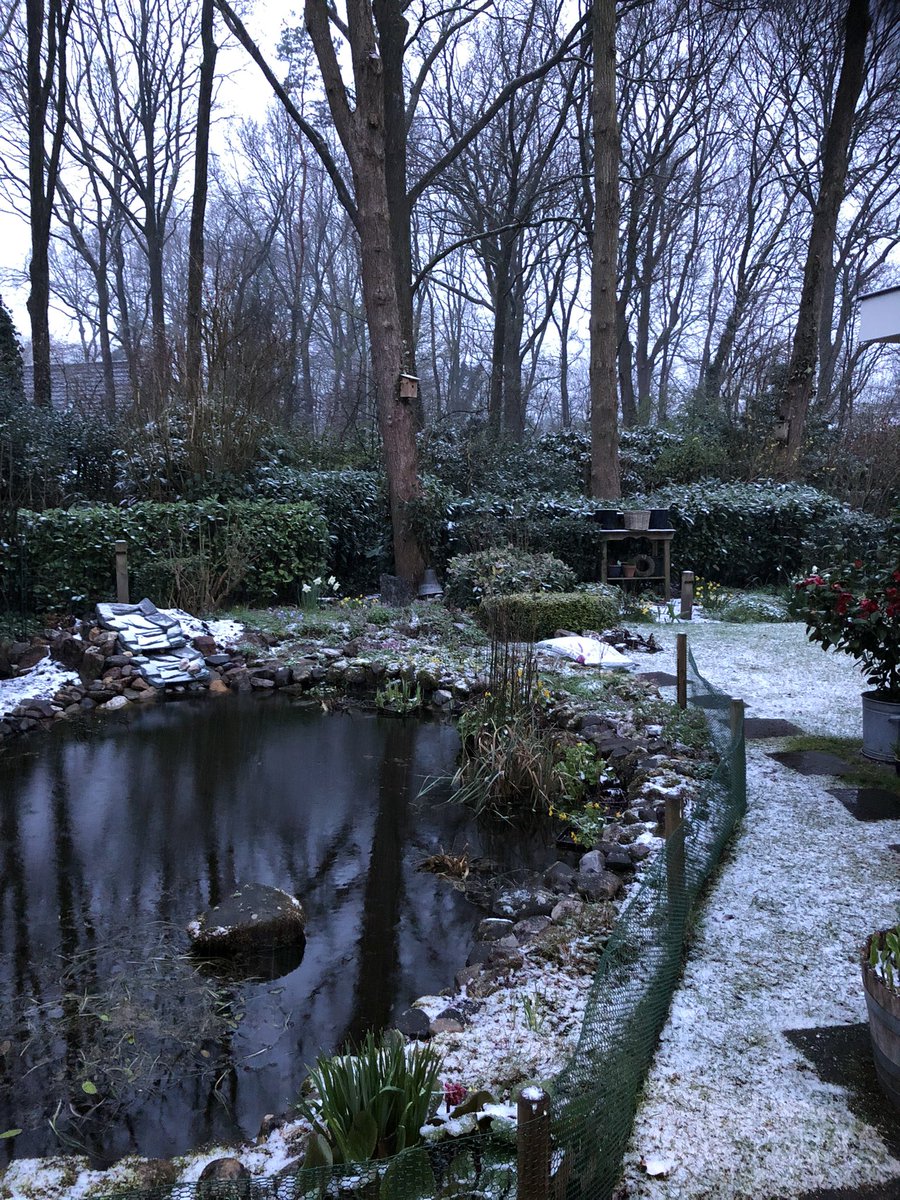 Brumrut's tweet photo. Maart roert zijn staart! #Otterlo https://t.co/B2ROtLUWe9
