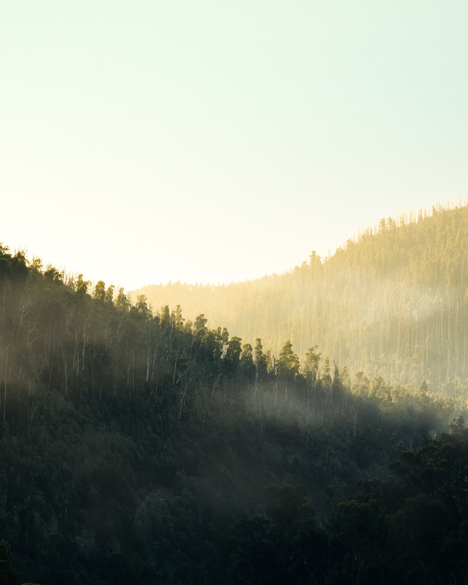 Needing more mornings like this I think. So keen for the next adventure 

#nftphotography #NFTs #nftspace #photographer