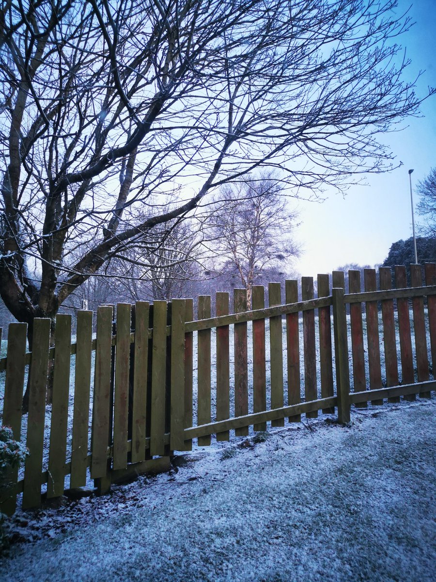 lizayoung25's tweet photo. Definitely not summer dress weather Harlow 😂 #SpringWonderland #Snow #Aberdeen #Neighbours #UKPace https://t.co/tyyaWqfZBF