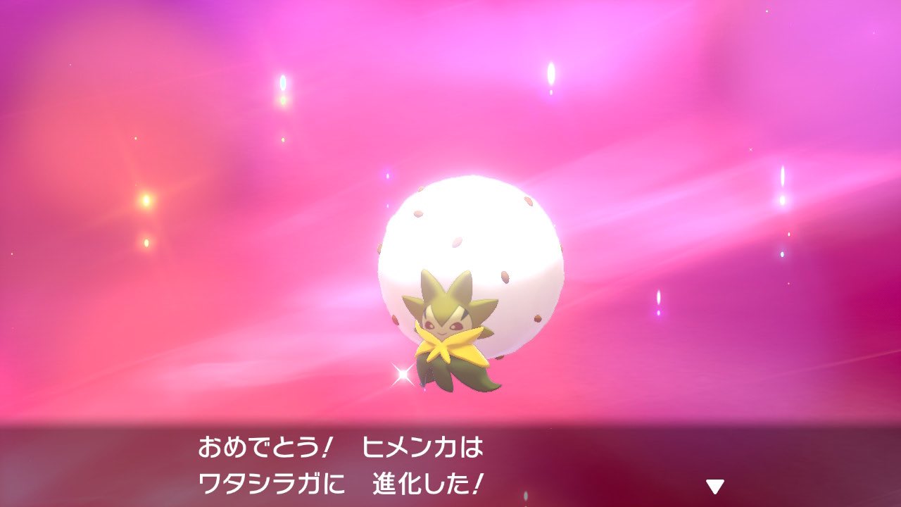 木の下木の上 Nmsdptqv2am28nk Twitter