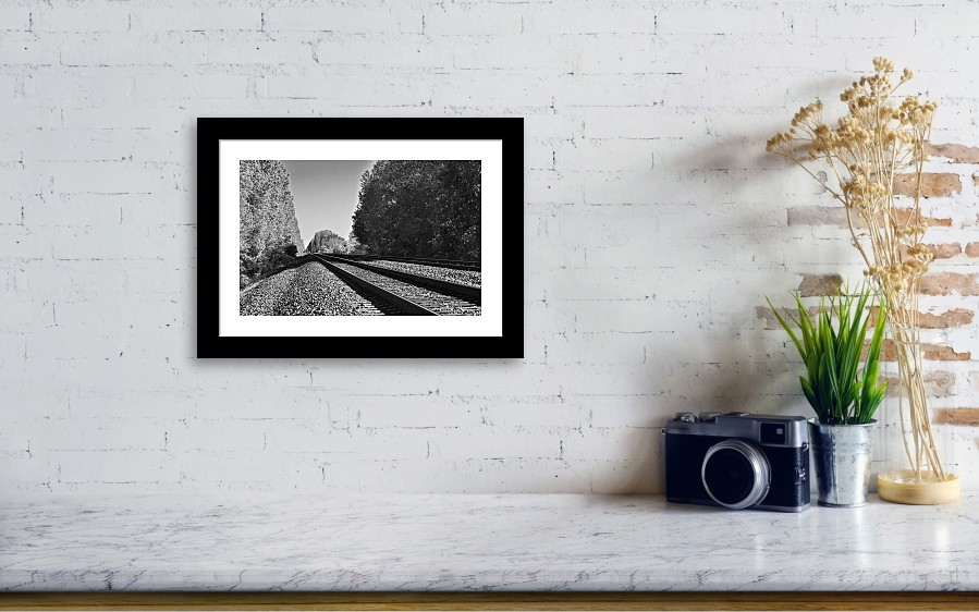 denisew428's tweet photo. Black and White print available at: 
#railroadtracks

https://t.co/FY8QHEfgRl 
#buyartthisspring #springforart #fineartamerica https://t.co/RmGpKUcX1G