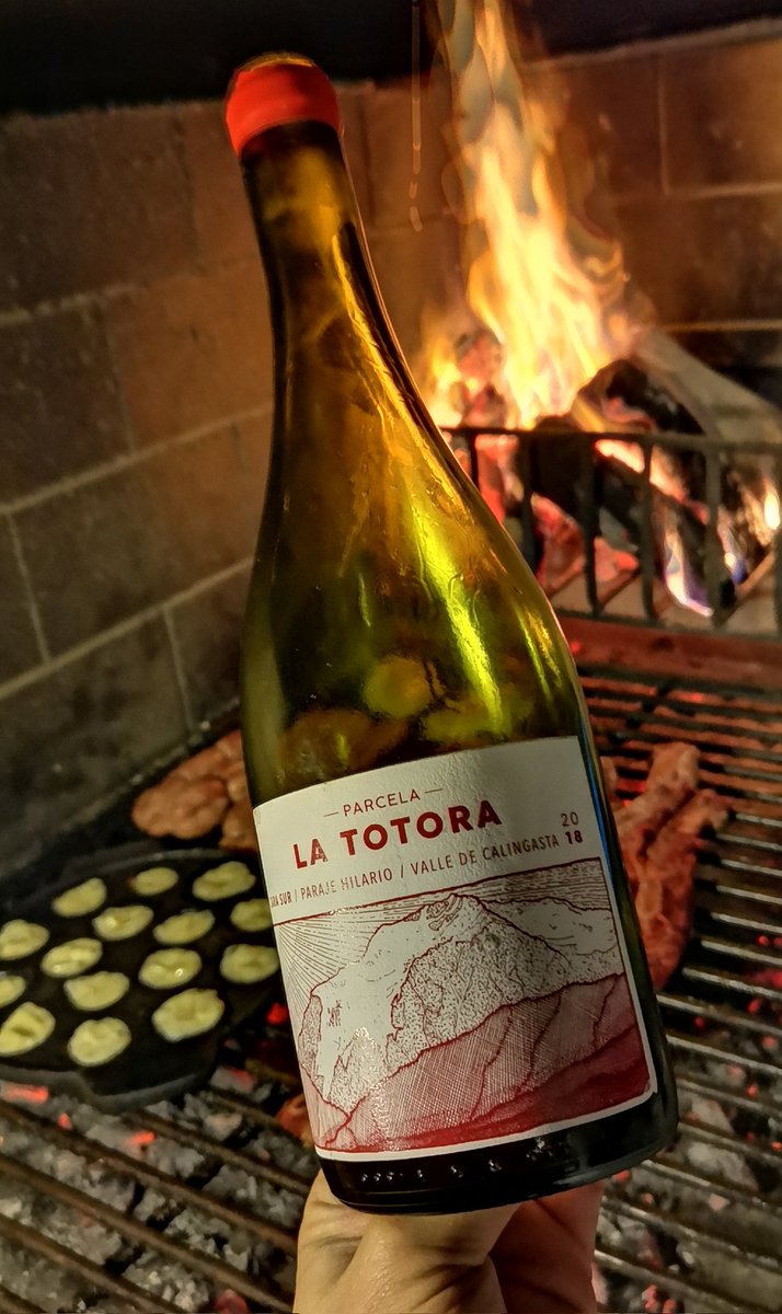 nico_aleman's tweet photo. Este #CaraSur parcela La Totora es una deliciosa criolla chica que nace en un viejo parral a 1.500 mts de altura en el Valle de Calingasta, provincia de San Juan.
Es un vino escaso y realmente especial. Muy aromático, delicado, largo y sobretodo peligrosamente fácil de beber! https://t.co/zNHbwVXFio